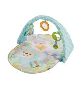 Fisher-price Rozvojová podložka Butterfly Dreams