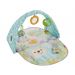 Fisher-price Rozvojová podložka Butterfly Dreams
