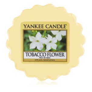 Yankee Candle vosk do aromalampy Tobacco Flower 22 g