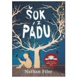 Nathan Filer: Šok z pádu