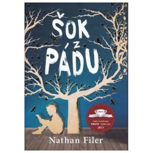 Nathan Filer: Šok z pádu