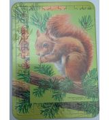 Puzzle veverička 117ks