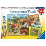 Ravensburger Puzzle Mon Cheval Ferme 3x49